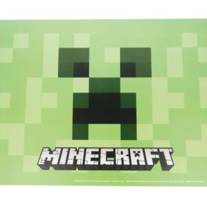 TOVAGLIETTA MINECRAFT